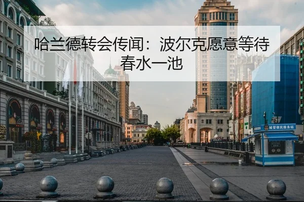 哈兰德转会传闻：波尔克愿意等待 春水一池
